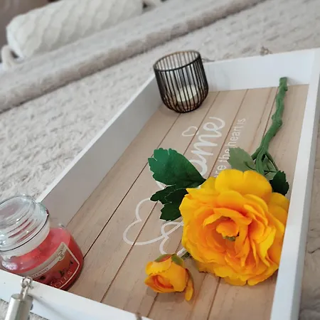 Summer Day بيت ضيافة