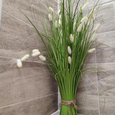 Summer Day بيت ضيافة تشيرنوموريتس