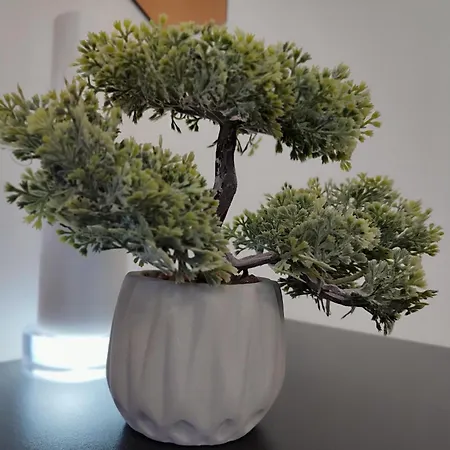 بيت ضيافة Summer Day 3*