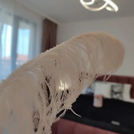 Summer Day Pensión 3*